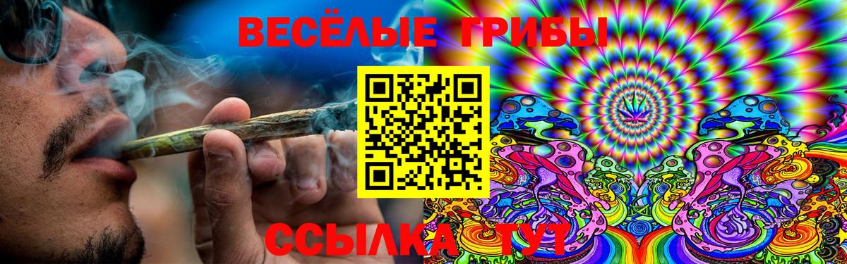 Псилоцибиновые грибы MAGIC MUSHROOMS  купить  сайты  Мытищи  Вход с VPN 