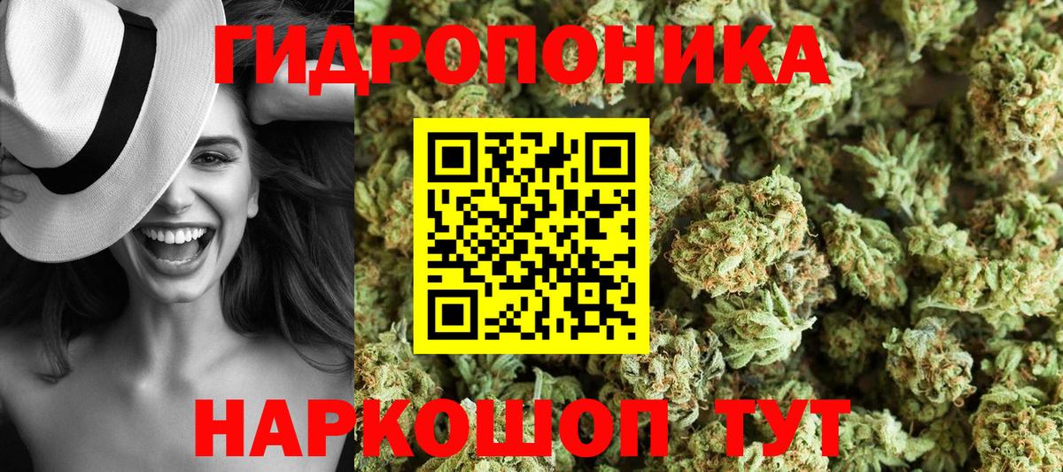 Бошки марихуана THC 21%  Канабис VHQ  Мытищи  Канабис план  Вход с VPN 